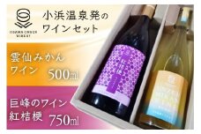 ワインセット 雲仙みかんワイン&紅桔梗 2本 セット [小浜温泉ワイナリー 長崎県 雲仙市 item1757] ワイン 赤 赤ワイン 国産 日本 ぶどう ブドウ 巨峰 みかん 蜜柑 お酒 酒 果実