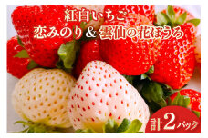 【期間限定発送】いちご 紅白いちごセット「恋みのり」「雲仙の花ぼうろ」計2パック [トトノウ 長崎県 雲仙市 item1416] 苺 イチゴ 2パック 赤いちご 白いちご フルーツ 果物 くだもの 期間限定 季節限定 セット 食べ比べ