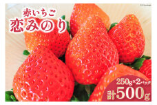 【好評により受付再開】 いちご 赤いちご 恋みのり 250g×2パック [トトノウ 長崎県 雲仙市 item1414] 苺 イチゴ クリスマス フルーツ 果物 くだもの 期間限定 季節限定