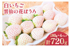 【期間限定発送】 いちご 白いちご 雲仙の花ぼうろ 180g✕4パック [トトノウ 長崎県 雲仙市 item1415] 苺 イチゴ 白いちご フルーツ 果物 くだもの 期間限定 季節限定