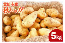 【期間限定発送】 じゃがいも 雲仙市産 秋じゃが 5kg［北串 秋・冬収穫じゃがいも各種］ [トトノウ 長崎県 雲仙市 item1417] ジャガイモ 秋じゃがいも 野菜 5キロ 期間限定 長崎県産