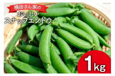 【期間限定発送】 エンドウ スナップエンドウ 1kg [横田農園 長崎県 雲仙市 item1793] 野菜 やさい えんどう豆 エンドウ さやえんどう 新鮮 サラダ