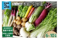 【期間限定発送】3回 定期便 季節の旬野菜 セット 6～10品種 詰め合わせ [雲仙つむら農園 長崎県 雲仙市 item1723] やさい 冬野菜 西洋野菜 根菜 季節野菜 食べ比べ