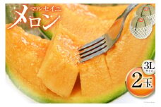【期間限定発送】 メロン マルセイユメロン 3L×2玉 [長崎県農産品流通 長崎県 雲仙市 item1590] めろん 赤肉 フルーツ 果物 赤肉メロン マルセイユ