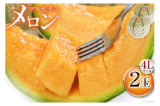 【期間限定発送】 メロン マルセイユメロン 4L×2玉 [長崎県農産品流通 長崎県 雲仙市 item1591] めろん 赤肉 フルーツ 果物 赤肉メロン マルセイユ