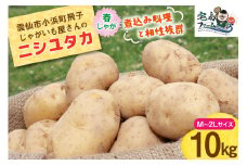 【期間限定発送】 じゃがいも ニシユタカ 10kg [宅島ファーム 長崎県 雲仙市 item1126] 野菜 ジャガイモ 10キロ 馬鈴薯 春じゃが 長崎県産 期間限定