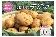 【期間限定発送】 じゃがいも なんぐしデジマ (春作じゃがいも) 大きめサイズ 10kg [なんぐしデジマプロジェクトチーム 長崎県 雲仙市 item1221] 野菜 じゃがいも 春じゃが 10キロ 期間限定