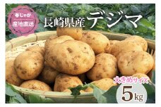 【期間限定発送】 じゃがいも なんぐしデジマ (春作じゃがいも) 大きめサイズ 5kg [なんぐしデジマプロジェクトチーム 長崎県 雲仙市 item1220] 野菜 じゃがいも 春じゃが 5キロ 期間限定