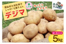 【期間限定発送】 じゃがいも デジマ 5kg [宅島ファーム 長崎県 雲仙市 item1169] 野菜 ジャガイモ 5キロ でじま デジマ 馬鈴薯 春じゃが 長崎県産 期間限定