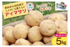 【期間限定発送】 じゃがいも アイマサリ 5kg [宅島ファーム 長崎県 雲仙市 item1170] 野菜 ジャガイモ 5キロ 馬鈴薯 春じゃが 長崎県産 期間限定