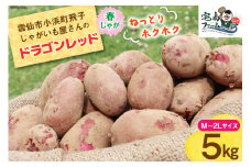 【期間限定発送】 じゃがいも ドラゴンレッド 5kg [宅島ファーム 長崎県 雲仙市 item1172] 野菜 ジャガイモ 5キロ 馬鈴薯 春じゃが 長崎県産 期間限定