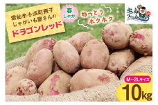 【期間限定発送】 じゃがいも ドラゴンレッド 10kg [宅島ファーム 長崎県 雲仙市 item1173] 野菜 ジャガイモ 10キロ 馬鈴薯 春じゃが 長崎県産 期間限定