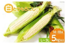 【期間限定発送】 とうもろこし 雲仙市産 白とうもろこし 5kg 以上 L～3Lサイズ 14～18本 [トトノウ 長崎県 雲仙市 item2171] トウモロコシ ホワイトコーン コーン 野菜