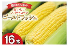 【期間限定発送】 とうもろこし 16本 横田さん家の美味しいスイートコーン ゴールドラッシュ [横田農園 長崎県 雲仙市 item2208] コーン トウモロコシ 野菜