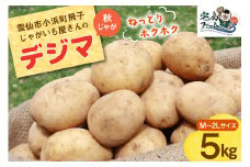 【2025年12月後半以降発送】 じゃがいも デジマ 5kg 秋じゃが [宅島ファーム 長崎県 雲仙市 item2047] 野菜 ジャガイモ 5キロ でじま デジマ 馬鈴薯 長崎県産 期間限定