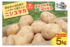 【2025年12月後半以降発送】じゃがいも ニシユタカ 5kg 秋じゃが [宅島ファーム 長崎県 雲仙市 item2049] 野菜 ジャガイモ 5キロ 馬鈴薯 長崎県産 期間限定