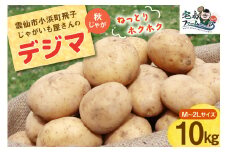 【2025年12月後半以降発送】 じゃがいも デジマ 10kg 秋じゃが [宅島ファーム 長崎県 雲仙市 item2048] 野菜 ジャガイモ 10キロ でじま デジマ 馬鈴薯 長崎県産 期間限定