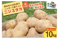 【2025年12月後半以降発送】 じゃがいも ニシユタカ 10kg 秋じゃが [宅島ファーム 長崎県 雲仙市 item2050] 野菜 ジャガイモ 10キロ 馬鈴薯 長崎県産 期間限定
