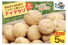 【2025年12月後半以降発送】じゃがいも アイマサリ 5kg 秋じゃが [宅島ファーム 長崎県 雲仙市 item2052] 野菜 ジャガイモ 5キロ 馬鈴薯 長崎県産 期間限定