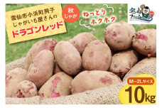 【2026年1月後半以降発送】 じゃがいも ドラゴンレッド 10kg 秋じゃが [宅島ファーム 長崎県 雲仙市 item2054] 野菜 ジャガイモ 10キロ 馬鈴薯 長崎県産 期間限定