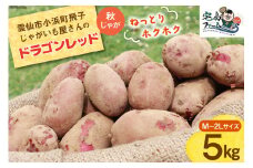 【2026年1月後半以降発送】じゃがいも ドラゴンレッド 5kg 秋じゃが [宅島ファーム 長崎県 雲仙市 item2053] 野菜 ジャガイモ 5キロ 馬鈴薯 長崎県産 期間限定