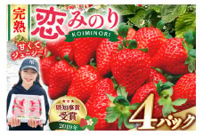 【期間限定発送】 いちご 恋みのり 1kg 以上 4パック [キチ・フィールド 長崎県 雲仙市 item1850] イチゴ 苺 フルーツ 果物 期間限定 季節限定 先行予約