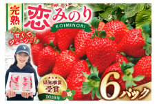 【期間限定発送】 いちご 恋みのり 1.5kg 以上 6パック [キチ・フィールド 長崎県 雲仙市 item2206] イチゴ 苺 フルーツ 果物 期間限定 季節限定 先行予約