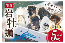 【期間限定発送】 岩牡蠣 生食 5kg 以上 [天洋丸 長崎県 雲仙市 item2191] 牡蠣 かき カキ 冷凍 いわがき 岩がき 殻付 殻付き 先行予約