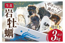 【期間限定発送】 岩牡蠣 生食 3kg 以上 [天洋丸 長崎県 雲仙市 item1907] 牡蠣 かき カキ 冷凍 いわがき 岩がき 殻付 殻付き 先行予約
