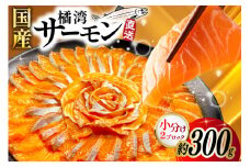 橘湾産 サーモン 刺身 2ブロック ( 約 300g ) [天洋丸 長崎県 雲仙市 item1903] おさしみ用 鮭 お刺し身 刺し身 個包装 海鮮 魚介類 海鮮丼 魚介 魚 国産