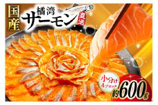 橘湾産 サーモン 刺身 4ブロック ( 約 600g ) [天洋丸 長崎県 雲仙市 item1904] おさしみ用 鮭 お刺し身 刺し身 個包装 海鮮 魚介類 海鮮丼 魚介 魚 国産