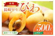 【期間限定発送】長崎 びわ 赤秀 温室ハウス栽培 長崎早生 500g [99アイランドファーム 長崎県 雲仙市 item1938] フルーツ 枇杷 ビワ 果物 化粧箱入り 季節限定