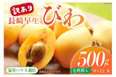 【期間限定発送】訳あり 長崎 びわ 温室ハウス栽培 長崎早生 500g [99アイランドファーム 長崎県 雲仙市 item1939] フルーツ 枇杷 ビワ 果物 化粧箱入り 季節限定