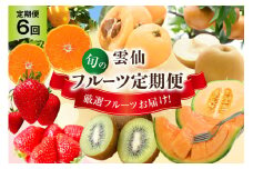 6回 雲仙 フルーツ 定期便 [長崎県農産品流通 長崎県 雲仙市 item2030] 果物 キウイ みかん ミカン いちご 苺 イチゴ 梨 びわ ビワ メロン めろん