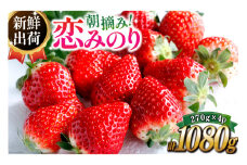 期間限定発送 いちご 恋みのり 約1080g 270g× 4パック [長崎県農産品流通 長崎県 雲仙市 item2032] イチゴ 苺 フルーツ 果物 1kg 1kg以上 季節限定