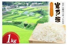 米 令和6年 岩戸米 1kg 1袋 白米 [雲仙みずほの郷 長崎県 雲仙市 item2021] 令和6年産 お米 おこめ 精米