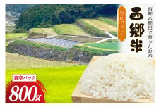 米 令和6年 西郷米 800g 1袋 白米 お試し用 真空パック [雲仙みずほの郷 長崎県 雲仙市 item2024] 令和6年産 お米 おこめ 精米