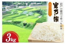 米 令和6年 岩戸米 3kg 1袋 白米 [雲仙みずほの郷 長崎県 雲仙市 item2023] 令和6年産 お米 おこめ 精米