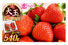 大玉限定！ いちご 恋みのり 約540g 270g 2パック 3L サイズ以上 [長崎県農産品流通 長崎県 雲仙市 item2033] イチゴ 苺 フルーツ 果物 季節限定