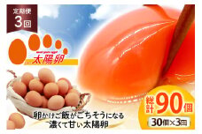 定期便 3回 卵 太陽卵 10個入 3パック 総計90個 [落水正商店 長崎県 雲仙市 item2158] たまご タマゴ 鶏卵 玉子 生卵 九州産 国産 卵焼き 玉子焼き たまご焼き
