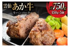 雲仙あか牛 ハンバーグ 150g×5個 [高田牧場 長崎県 雲仙市 item2273] 冷凍 湯煎 温めるだけ 牛 100％ あか牛 和牛 ブランド牛