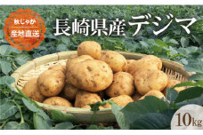 【期間限定発送】 じゃがいも なんぐしデジマ 秋作 10kg [なんぐしデジマプロジェクトチーム 長崎県 雲仙市 item2164] ジャガイモ 野菜 デジマ 10キロ 秋じゃが