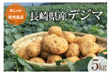 【期間限定発送】 じゃがいも なんぐしデジマ 秋作 5kg [なんぐしデジマプロジェクトチーム 長崎県 雲仙市 item2163] ジャガイモ 野菜 デジマ 5キロ 秋じゃが