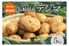 【期間限定発送】 じゃがいも なんぐしデジマ 秋作 5kg 大きめサイズ [なんぐしデジマプロジェクトチーム 長崎県 雲仙市 item1910] ジャガイモ 野菜 秋じゃが 秋じゃがいも 5キロ 期間限定
