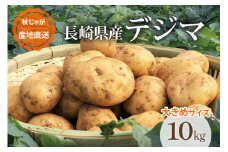 【期間限定発送】 じゃがいも なんぐしデジマ 秋作 10kg 大きめサイズ [なんぐしデジマプロジェクトチーム 長崎県 雲仙市 item1911] ジャガイモ 野菜 秋じゃが 秋じゃがいも 10キロ 期間限定