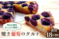 【2025年7月下旬〜発送】【予約制のタルト専門店】焼き葡萄のタルト / ぶどう タルト たると ケーキ タルトケーキ スイーツ デザート / 南島原市 / アトリエジジ [SAA001]