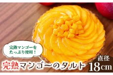 【2025年6月〜発送】【舌にあふれる季節感♪こだわりのサクサクタルト】完熟マンゴーのタルト / タルト マンゴー まんごー 期間限定 / 南島原市 / アトリエジジ [SAA009] 果物 フルーツ 果実 冷蔵 くだもの 