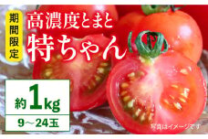 【2025年3月～発送】 特別栽培 高糖度 トマト 特ちゃん / トマト とまと トマト トマト とまと 野菜 / 南島原市 / 島原雲仙農業協同組合 南部基幹営農センター [SAB001]