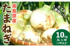【2025年3月～発送】たまねぎ 10kg / たまねぎ 玉ねぎ タマネギ たまねぎ タマネギ タマネギ 野菜 / 南島原市 / 島原雲仙農業協同組合 南部基幹営農センター [SAB002]