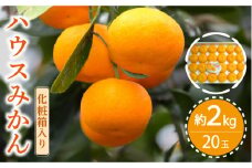 【2025年6月中旬〜発送】ハウス みかん 約2kg / みかん ミカン 蜜柑 果物 フルーツ 贈答用 化粧箱 / 南島原市 / 島原雲仙農業協同組合  東南部基幹センター [SAC003]